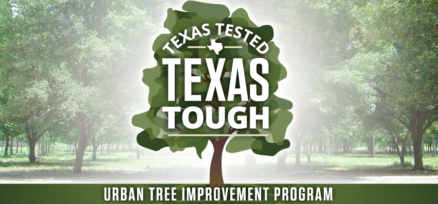 Tree improvement header