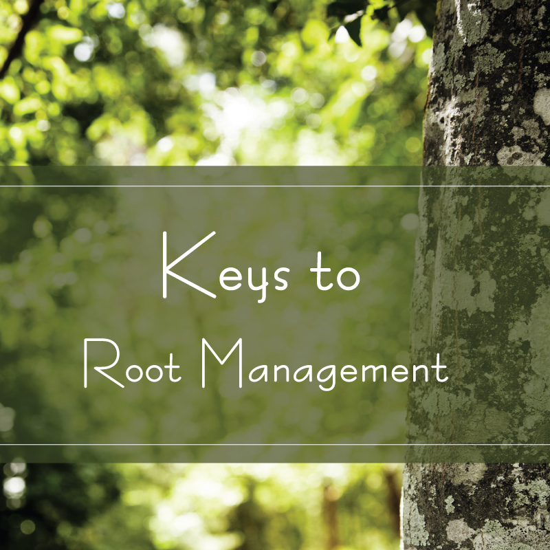 keys to root management 