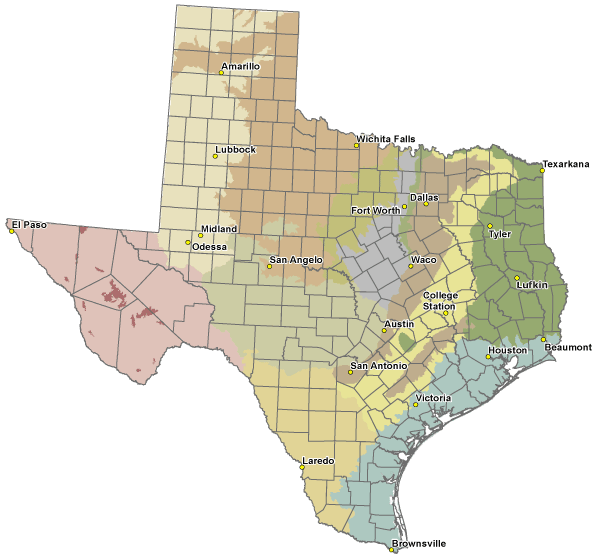 Map Of Texas Counties With Names And Cities 7749