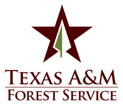 TFS-Stacked-Logo-Maroon