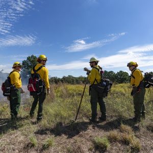 The 24th annual Capital Area Interagency Wildfire and Incident Management Academy (CAIWA) begins at the Camp Swift National Guard Facility in Bastrop, Texas this week.