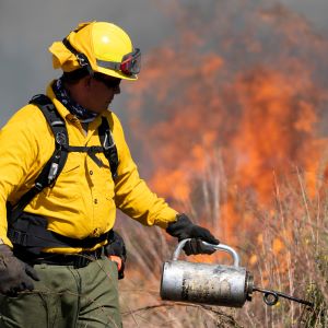 Apply now - prescribed fire grants for Texas Plains region now open