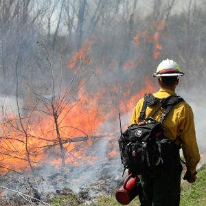 Prescribed Fire Grant September 2021