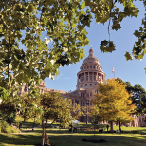 Austin FIA