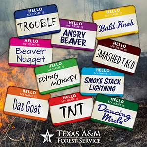 <p>Texas A&M Forest Service firefighters across the state have had a busy year, responding to more than 1,725 fires since Dec. 9. Many of those fires were given official names, typically connected to a geographic location or landmark near the fire.</p>
<p>While wildfires aren