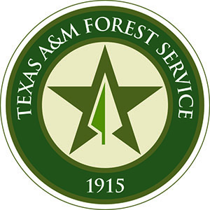 TFS Patch logo
