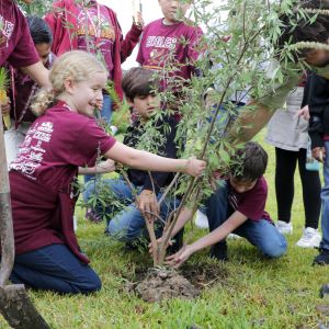Foresters and staff members from Texas A&M Forest Service celebrated Texas Arbor Day on Friday, Nov. 3, 2023, with school presentations, tree plantings and tree giveaways across the state.
