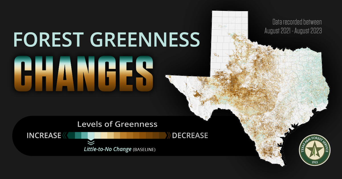 forest greenness change map