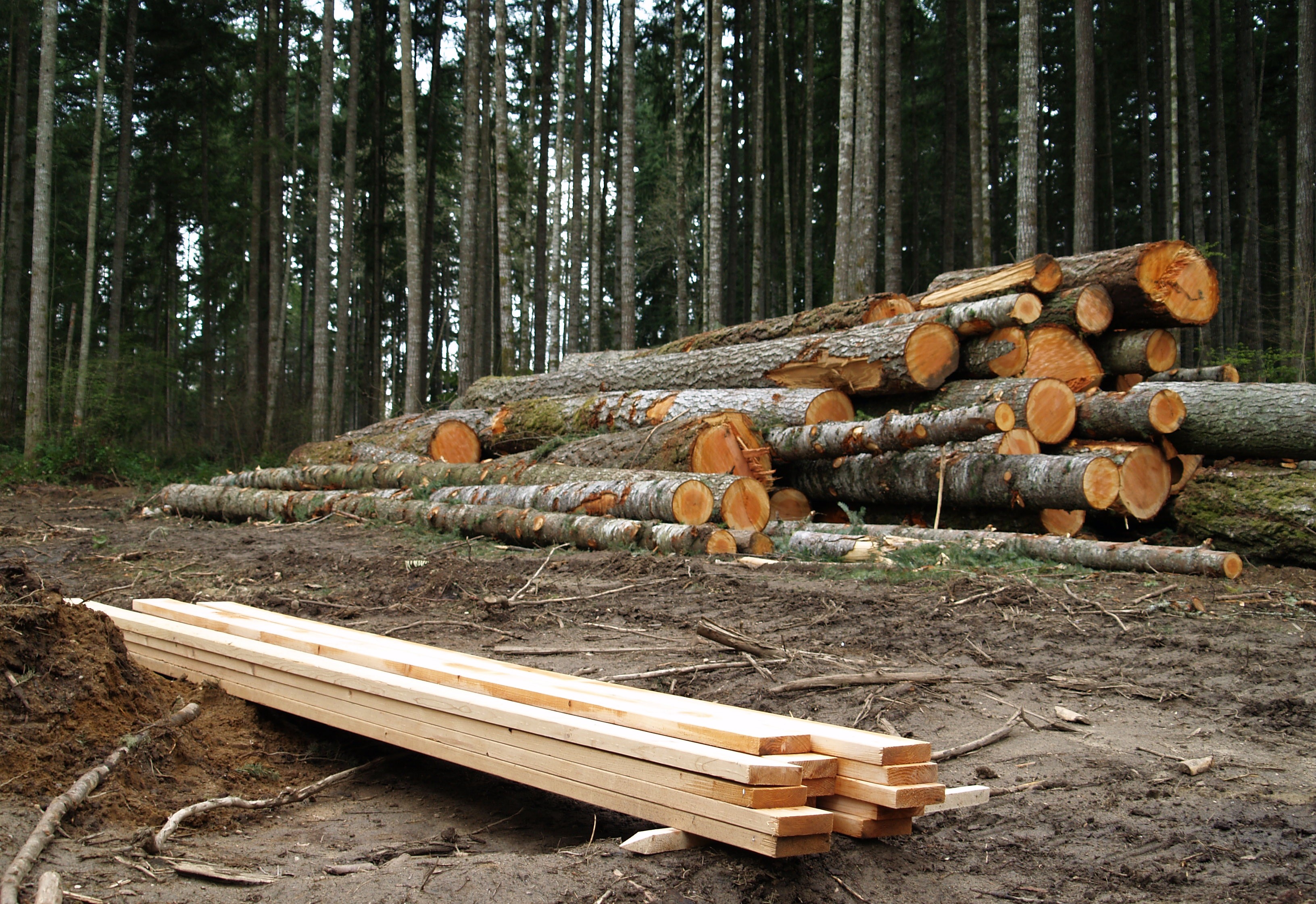Lumber and Timber