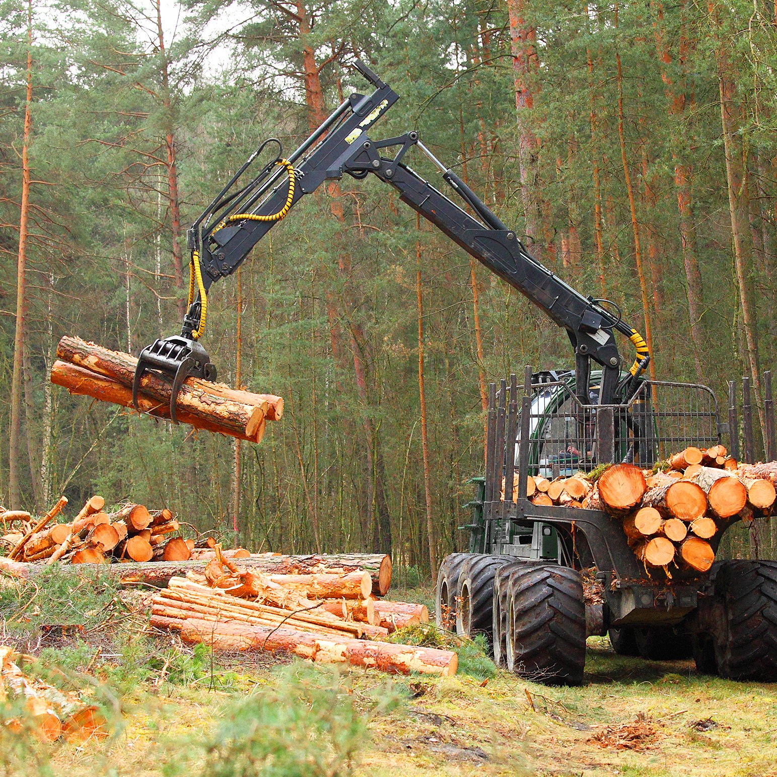 <span style="font-family: Calibri, sans-serif; font-size: 11pt;">The
U.S. Department of Agriculture (USDA) is providing up to $200 million to
provide relief to timber harvesting and timber hauling businesses that have
experienced losses due to COVID-19. </span>
