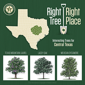 Put the right tree in the right place to maximize benefits to landscape