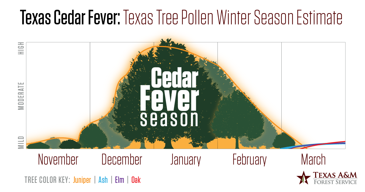 Cedar fever chart 2021