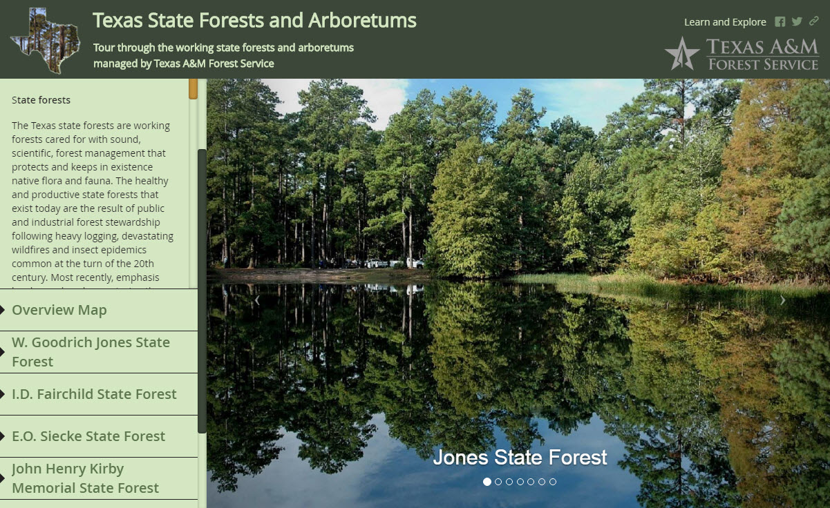 State Forests