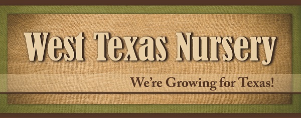 T3 - West Texas Nursery Banner