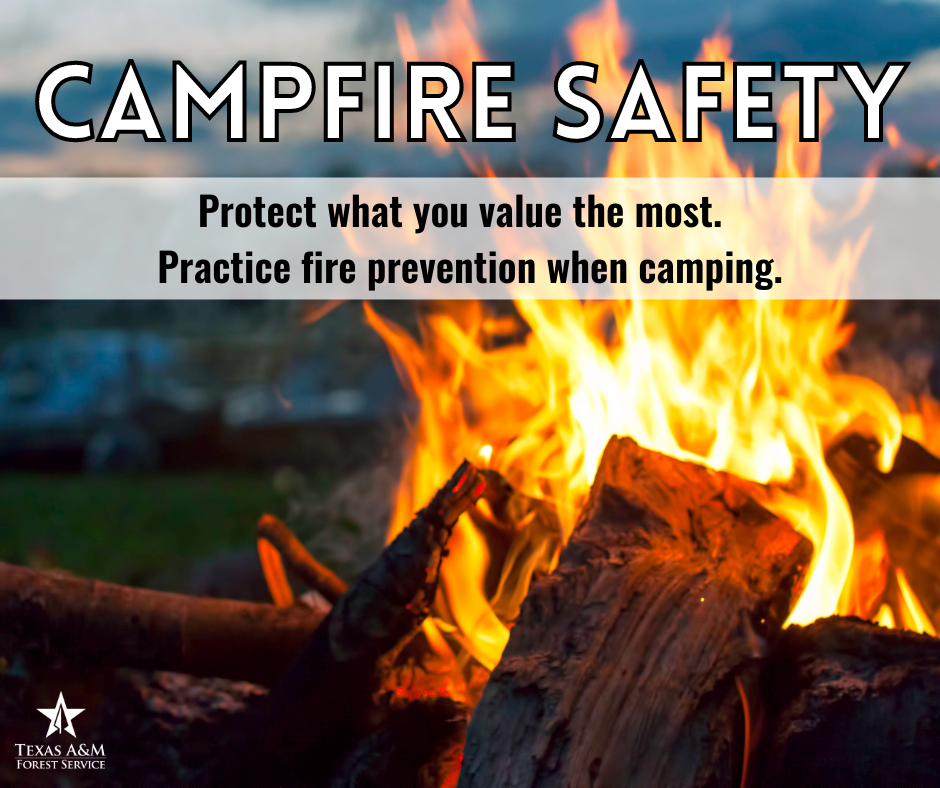 Preparing for Wildfires | Summer Season Wildfire Prevention