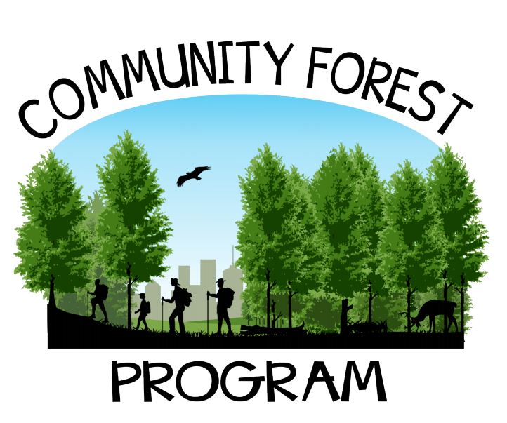 Urban And Community Forestry | Services For Local Governments