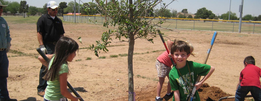 Arbor Day 2022 Texas