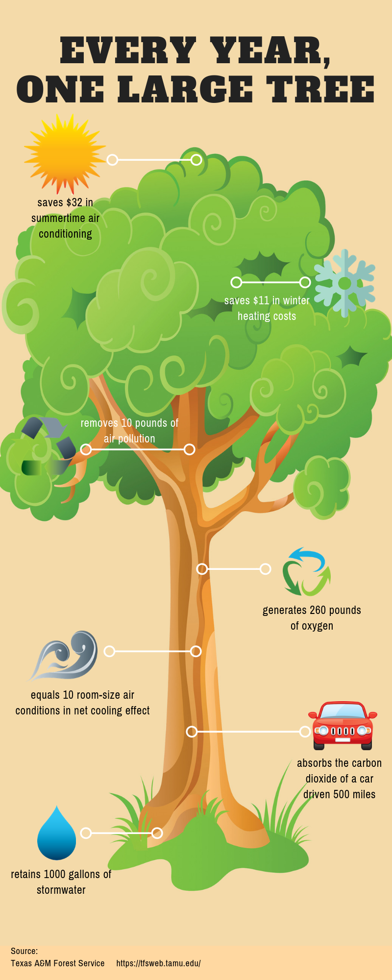 Urban And Community Forestry About Urban Community Forestry