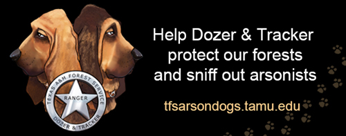 Picture of the TFS Arson Dogs; Dozer & Tracker Picture of the TFS Arson Dogs; Dozer & Tracker