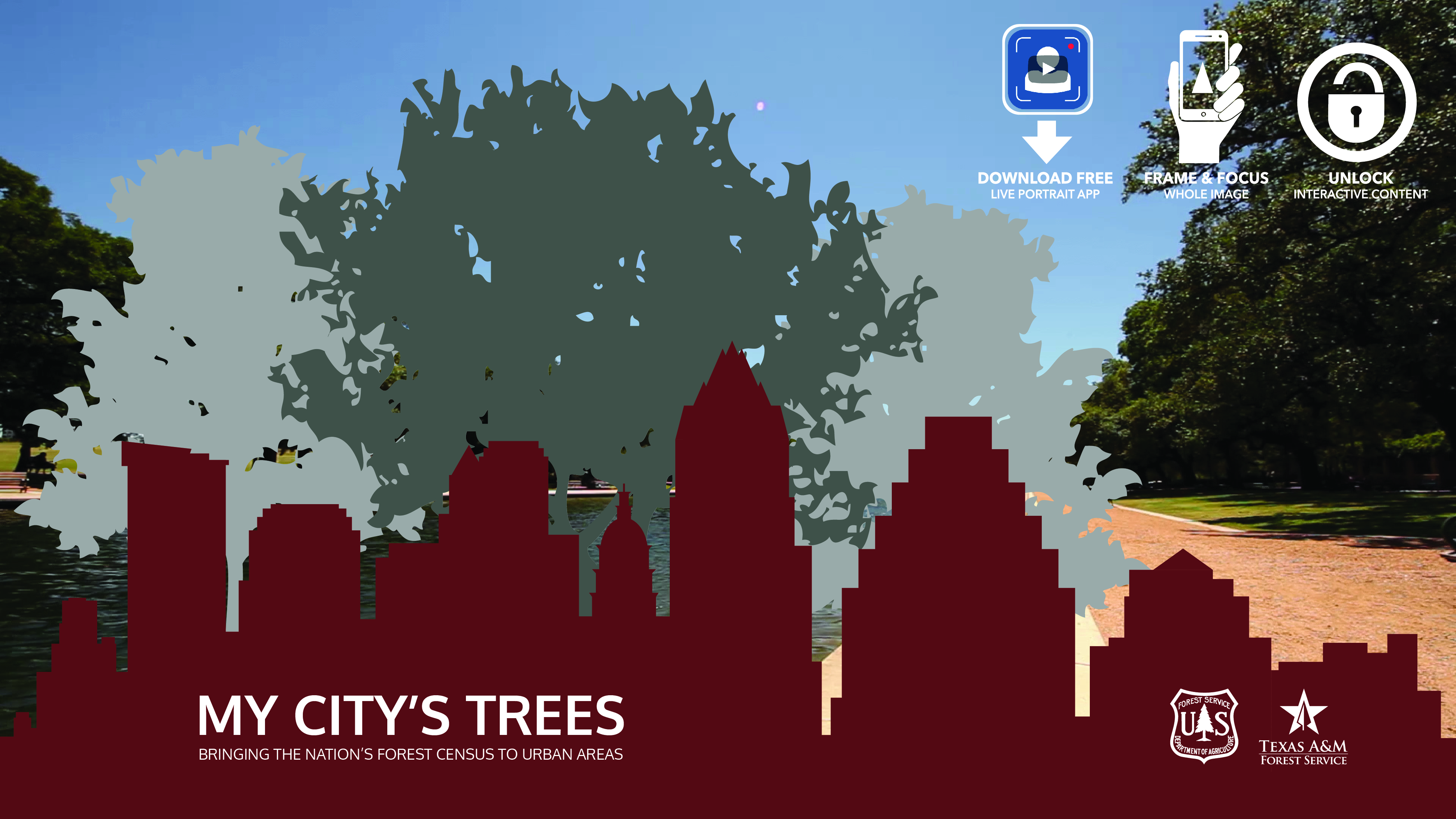 Live Portrait - My City's Trees