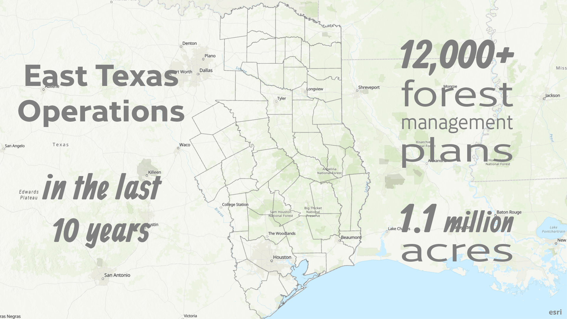 East Texas Management Plans, 2010-2019 with text