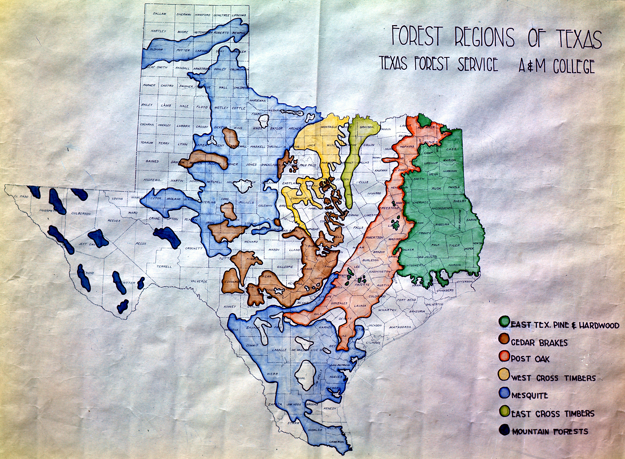 Forest Regions of Texas, 1947