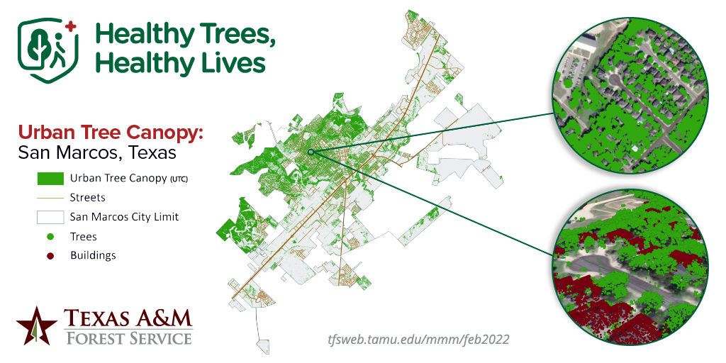 Healthy Trees, Healthy Lives - Urban Tree Canopy (twitter)