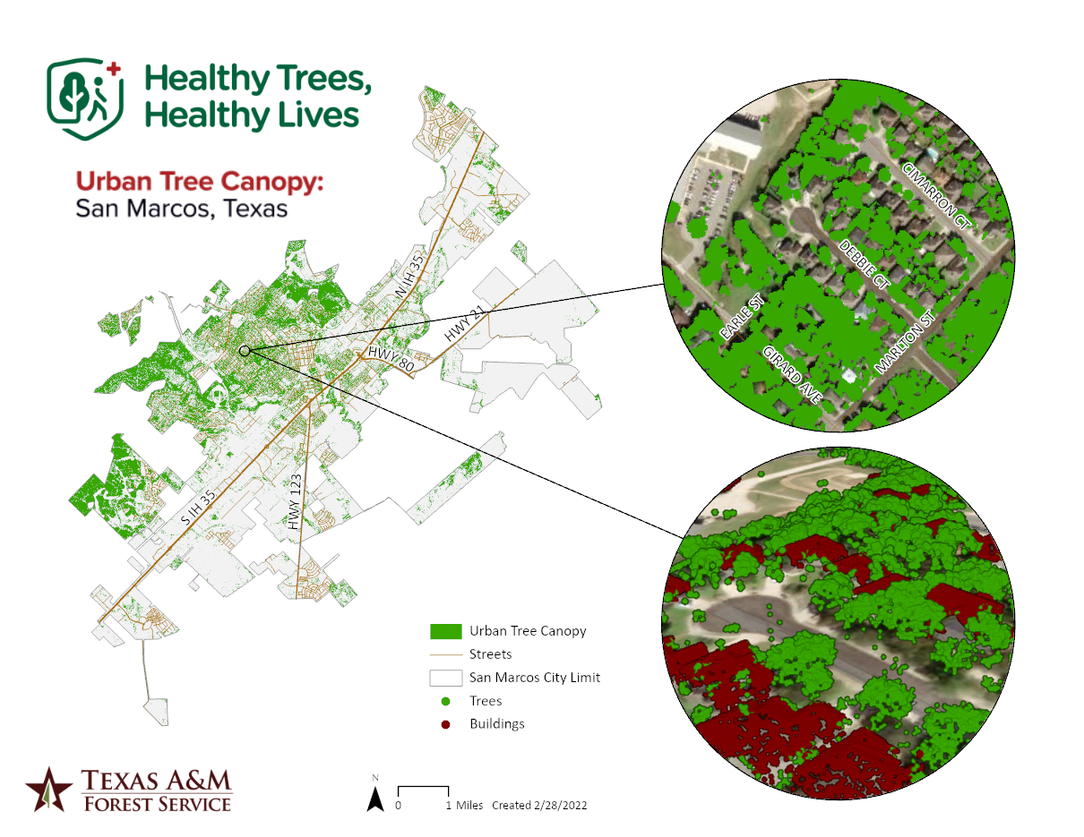Healthy Trees, Healthy Lives - Urban Tree Canopy (jpg)