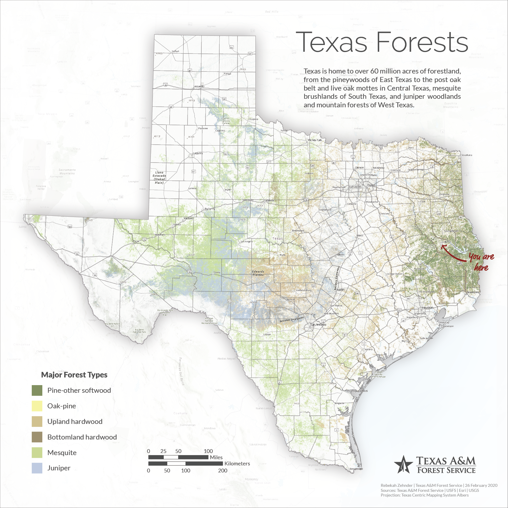 Texas Forests
