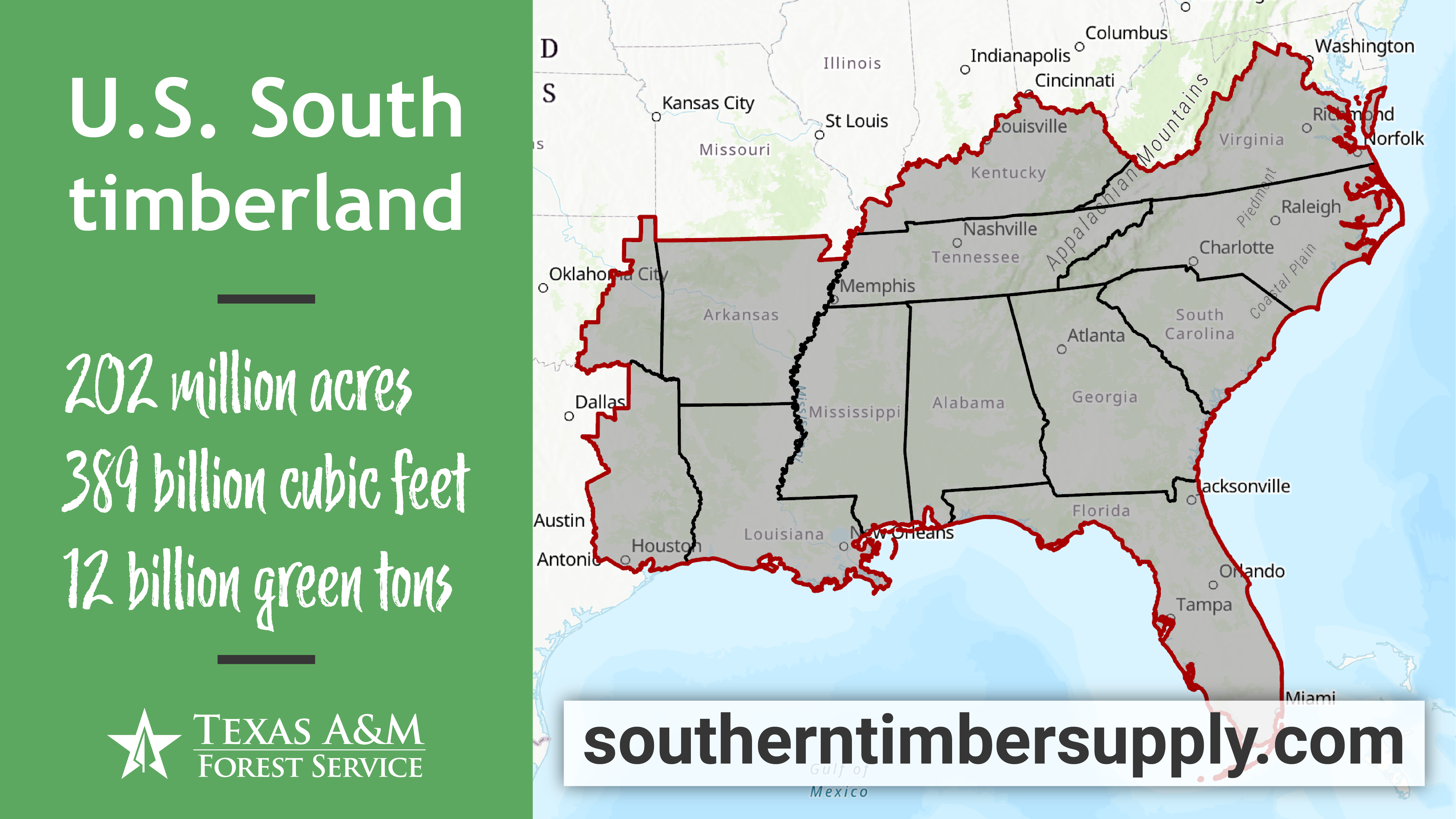 Timber Supply Analysis for the South