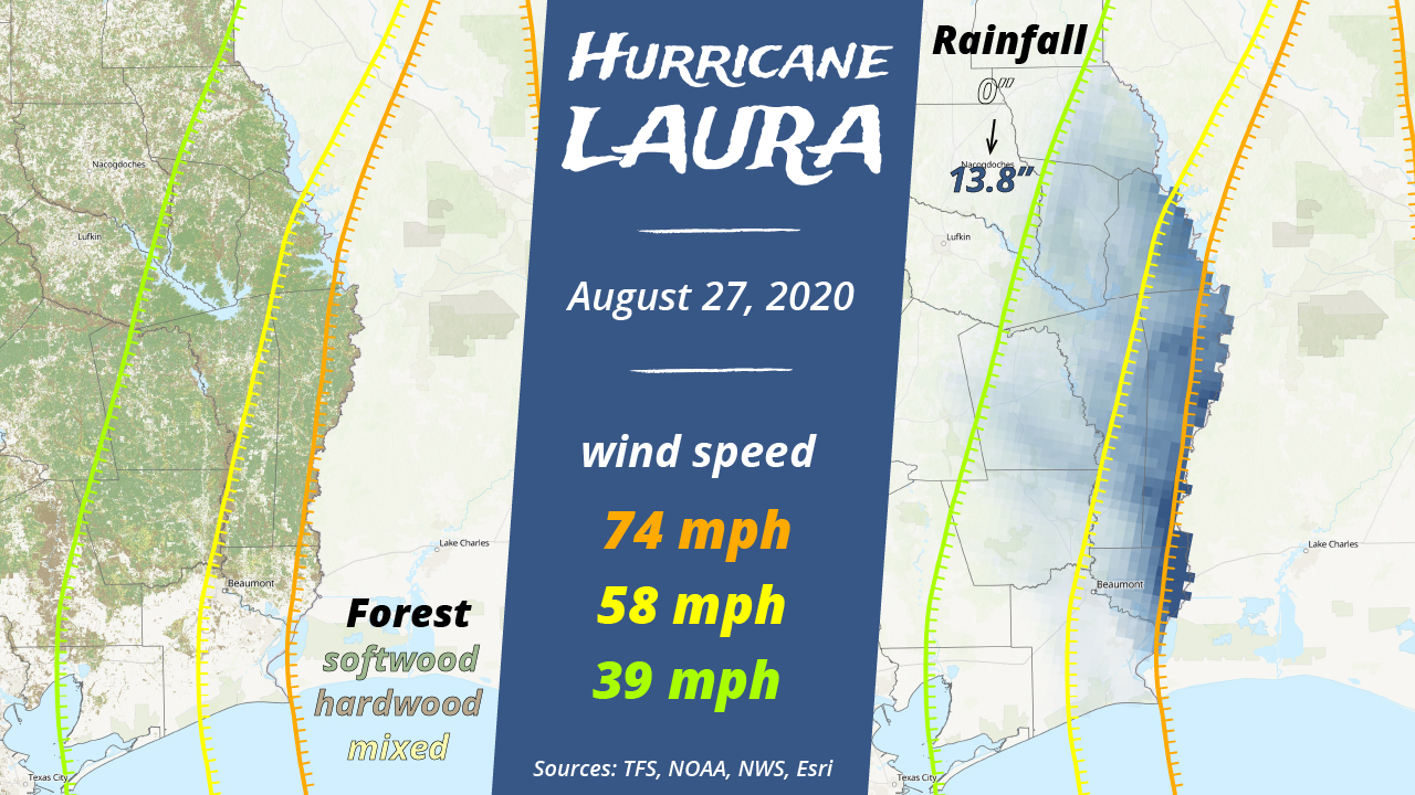 Hurricane Laura (twitter)