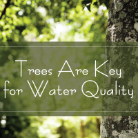 TAK for Water Quality