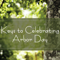 Keys to Celebrating Arbor Day by TAK