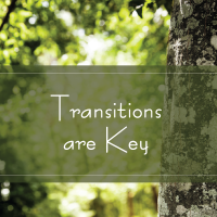 Transitions are Key by TAK