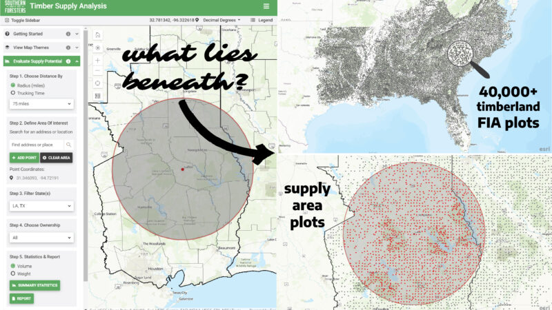 Map divided into four sections showing timber supply analysis. Top left highlights a specific region with the text what lies beneath? Top right shows over 40,000 timberland FIA plots. Bottom right displays supply area plots in red.