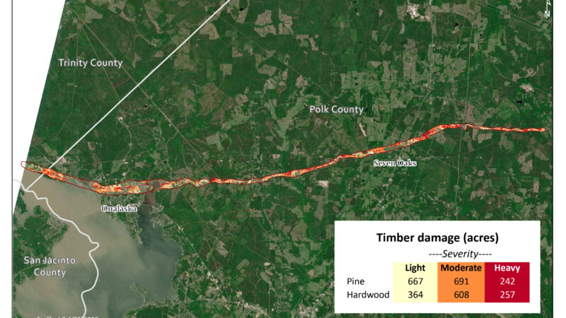 Map showing tornado forest damage severity in Polk County, Texas, from April 22, 2020. Red line indicates tornado path with varying timber damage severity marked by color. Legend shows timber damage in acres for light, moderate, and heavy categories.
