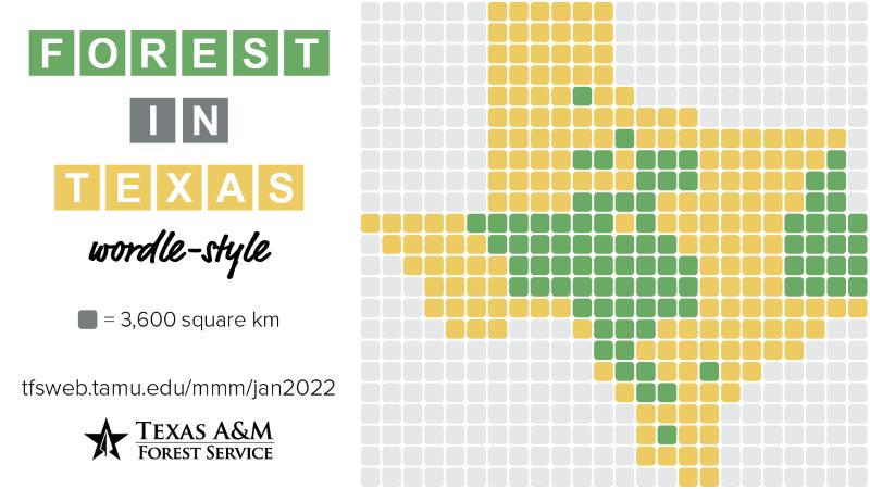 Texas with blocks colored green to indicate forests. Copy says "Forests in Texas Wordle Style"