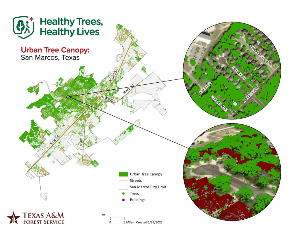 Map introducing HTHL geospatial analyses, highlighting urban tree canopy data within the city boundary.