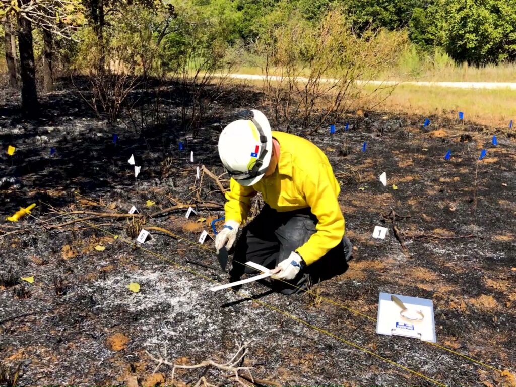 Investigator bends down to collect sample in a burnt grassy area