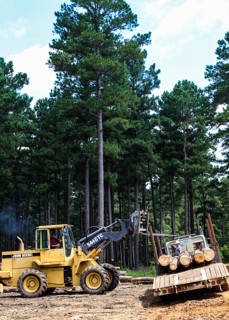 Logs being loaded on back of truck and trailer
