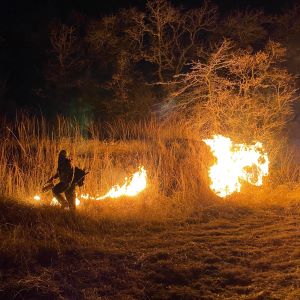 wildfire activity march 15 2022