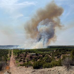 Smoke Stack Fire Plume