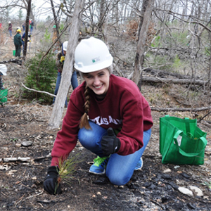 Aggie Replant 2015