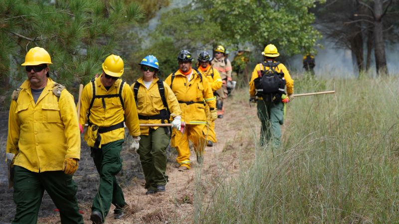 Wildland firefighters walk in line with hand tools