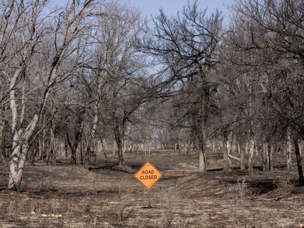 Burned field with trees and road closed sign