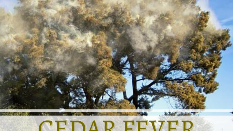 CF Thumbnail