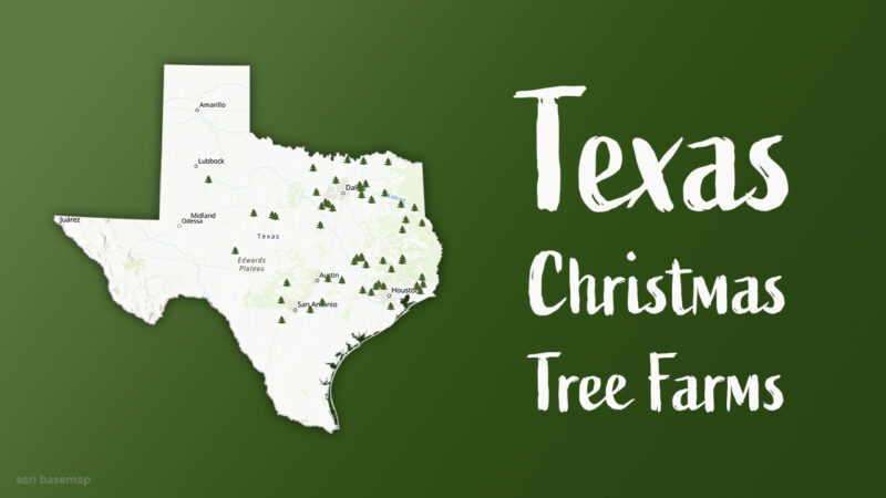 Map showing Christmas tree farm locations across Texas from the Texas Christmas Tree Growers Association.