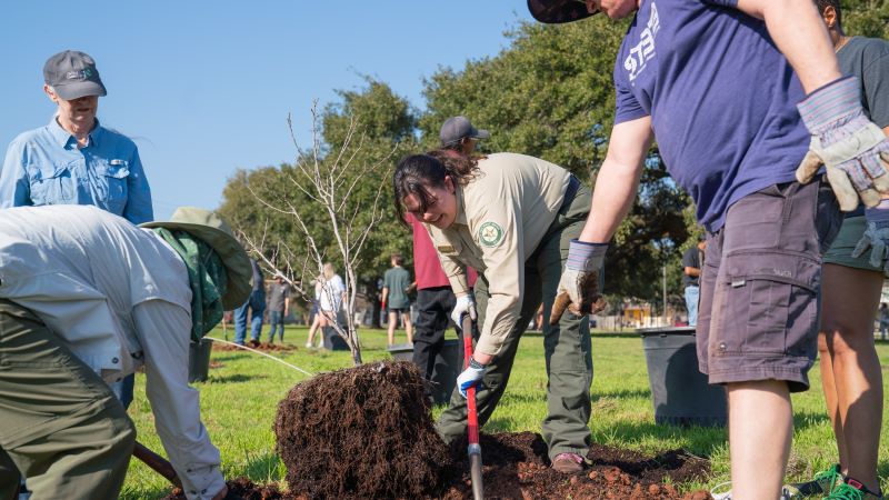 Group of people planting tree with shovels