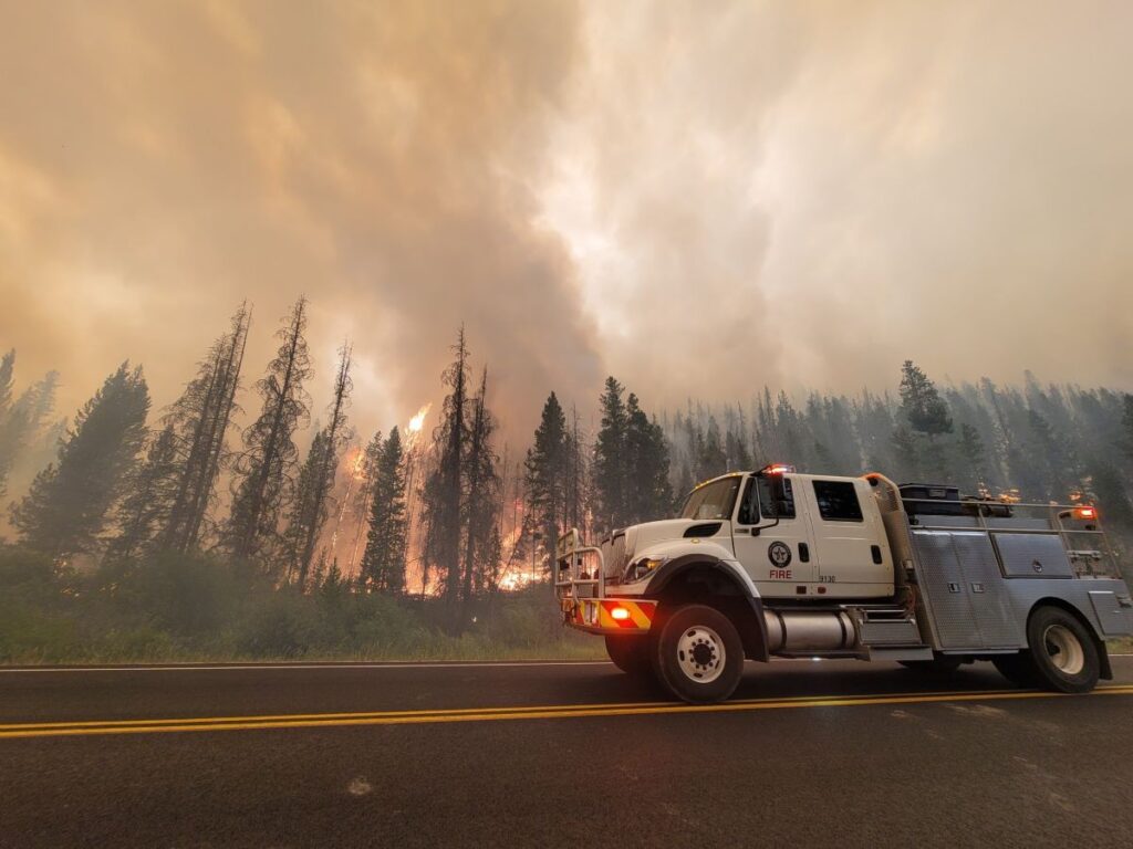 Wildfire and engine and trees