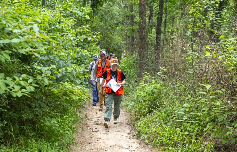 Estudiantes del bosque caminando por el sendero en el bosque